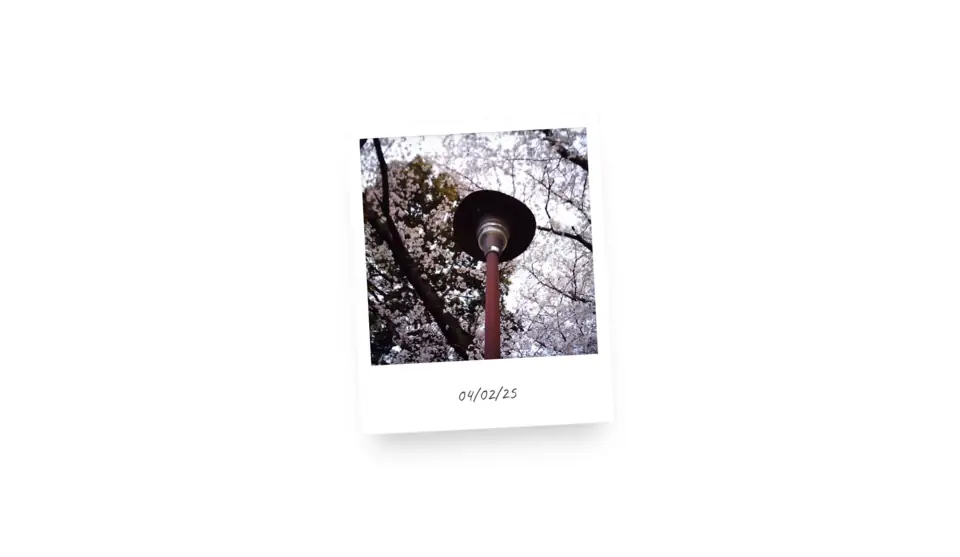 Polaroid Flip Card preview